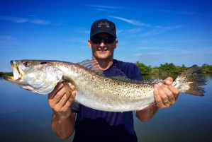 ctaching 32 inch speckled trout near new smyrna fl