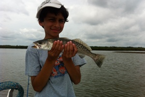 edgewater speckled trout