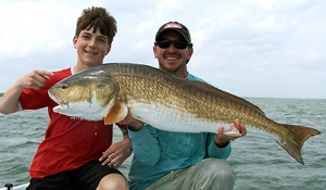 50 pound mosquito lagoon redfish