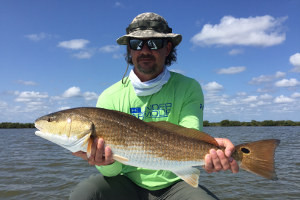 fishing for red drum mosquito lagoon