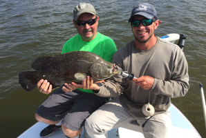 catching tripletail near ponce inlet