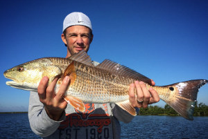 catching red drum on flats mosquito lagoon