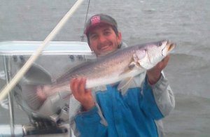 8.5 pound speckled trout mosquito lagoon