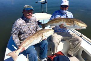 big redfish double from mosquito lagoon