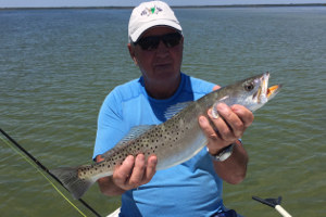 speckled trout fly fishing mosquito lagoon