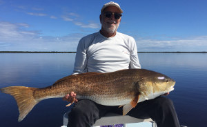bull red from indian river lagoon