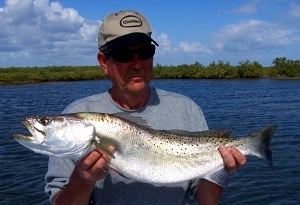 sawyer trout