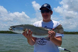 7 pound speckled trout caught in mosquito lagoon