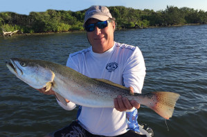 30 inch speckled trout new smyrna mosquito lagoon
