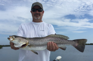 big speckled trout nsb fl fishing