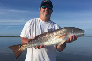 red drum fishing in mosquito lagoon