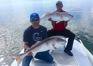 fall bull reds at ponce inlet fl