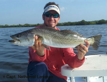 indian river lagoon trophy speckled trout