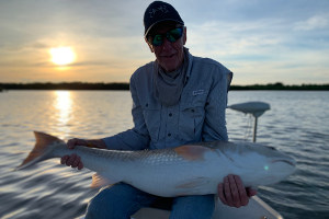 ponce inlet area bull redfish