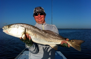 redfish mosquito lagoon