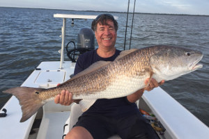 summer bull redfish in mosquito lagoon