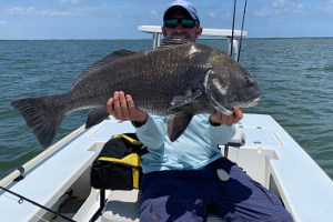 black drum mosquito lagoon
