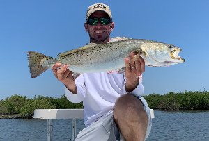 gator speckled trout ponce inlet florida