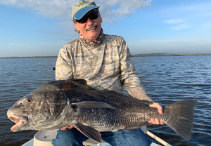 big black drum indian river lagoon