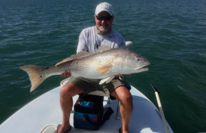 redfish ponce inlet florida