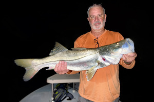 night time snook fishing daytona