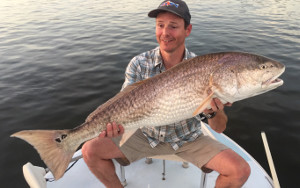 fall bull reds new smyrna florida