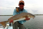 bull redfish on fly fishing indian river lagoon