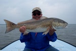 indian river lagoon spring redfish charter