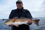 mosquito lagoon redfish caught on fly