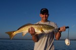 north indian river lagoon bull redfish