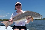 redfish charter mosquito lagoon