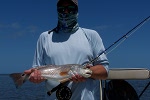 redfish on fly mosquito lagoon
