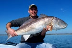 winter bull redfish mosquito lagoon